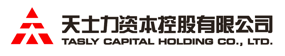 球信网资本控股有限公司
